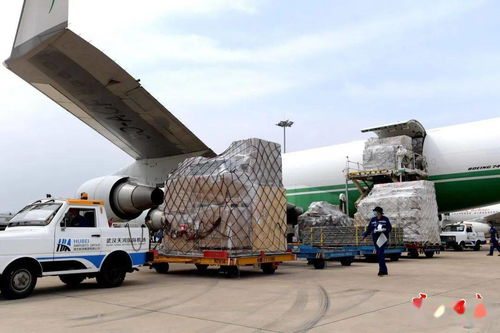 航空枢纽建设带动国际物流激增,武汉机场跨境电商货量同比增5倍